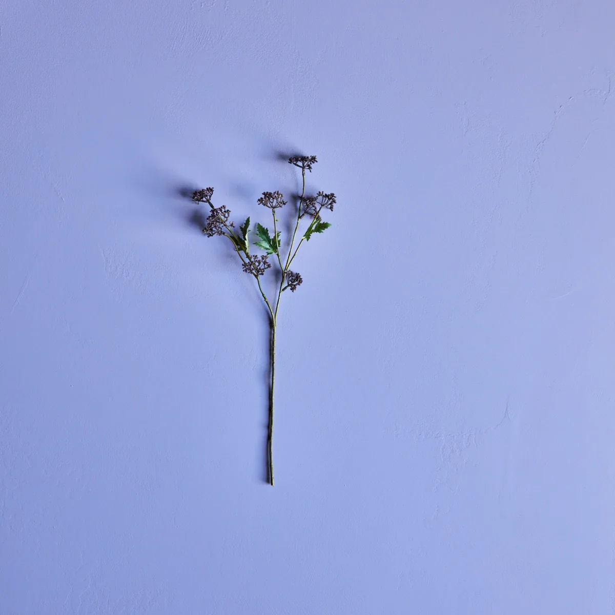 Miniaturebillede 2