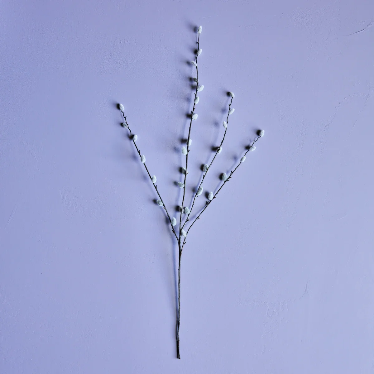 Miniaturebillede 2