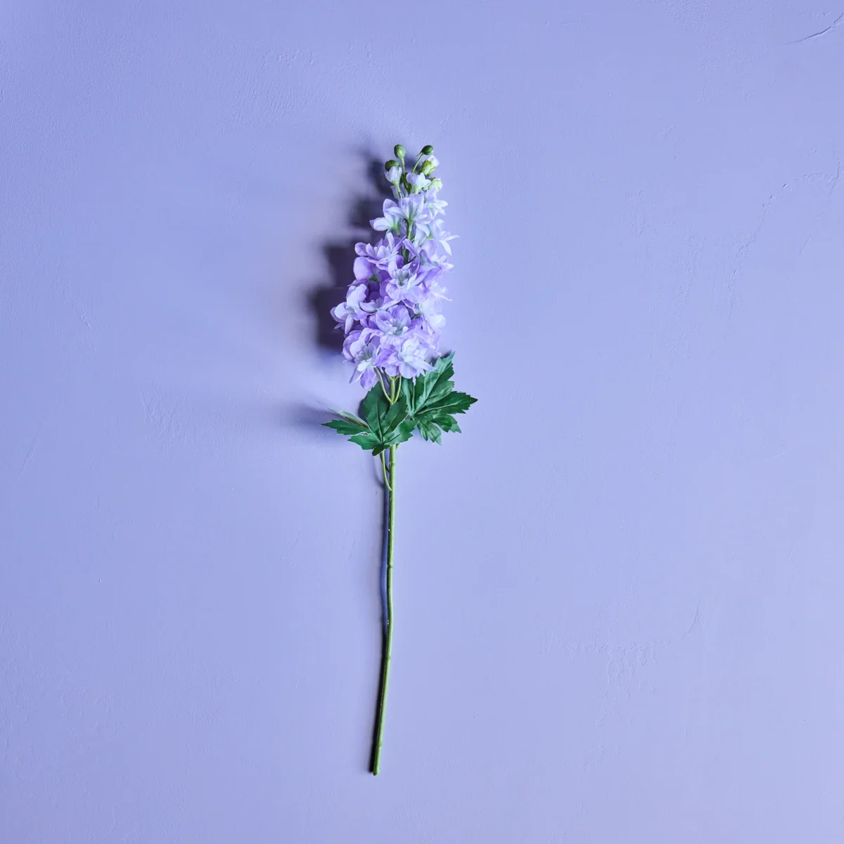 Miniaturebillede 2